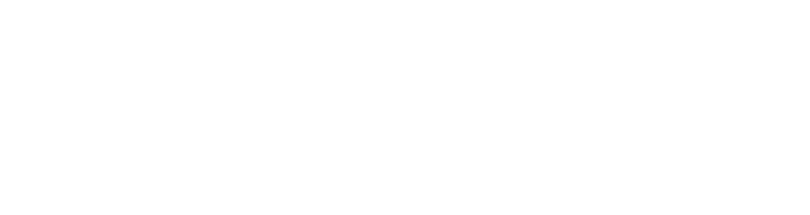 Dynamix
